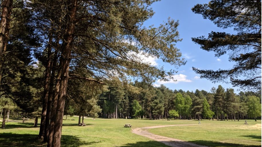 Sherwood Pines BBQ area